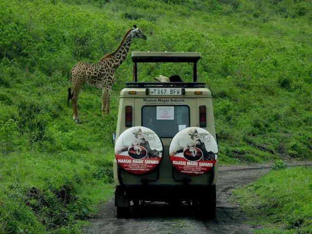 African Safari Adventure
