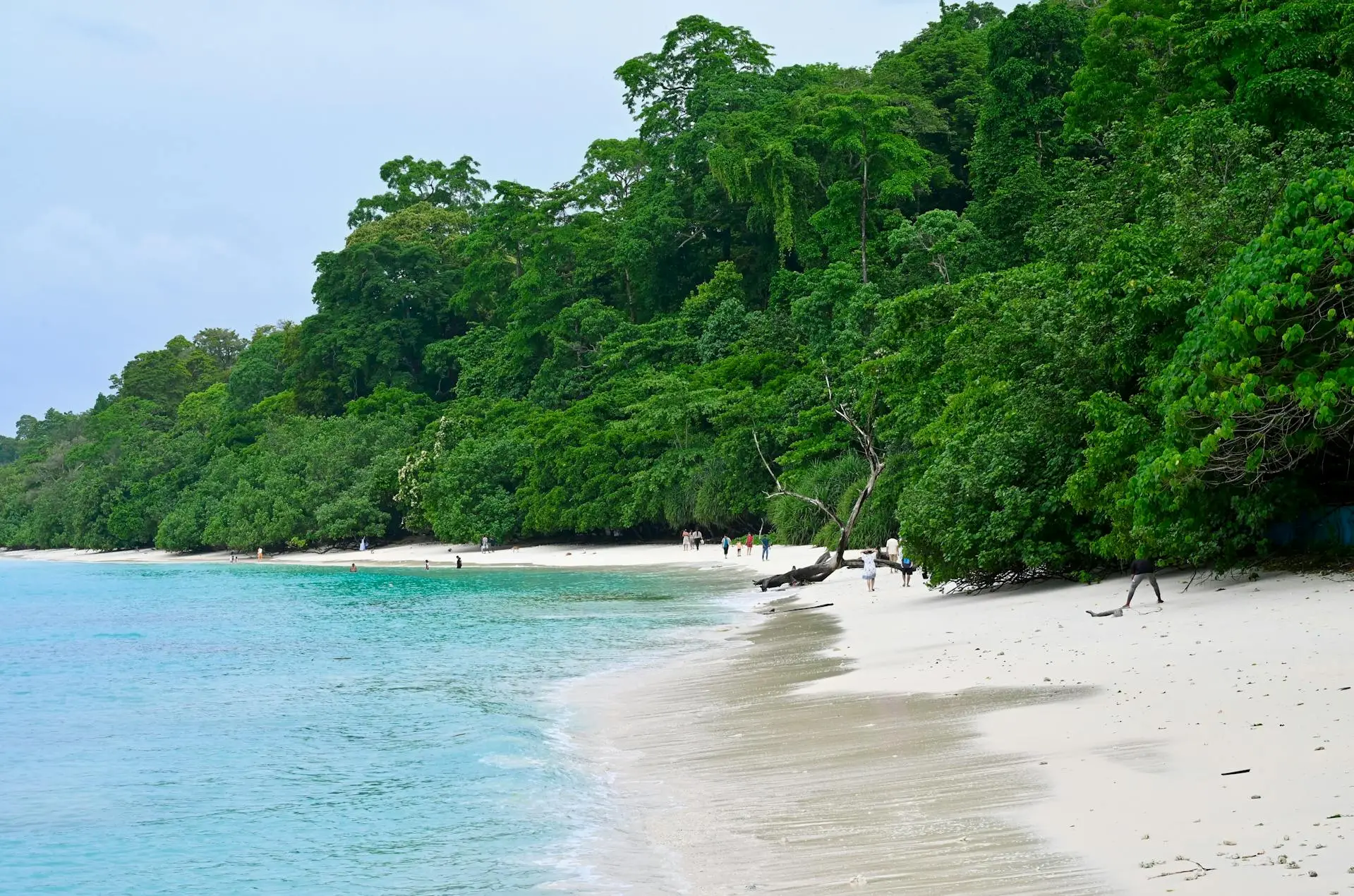Andaman Tour Packages